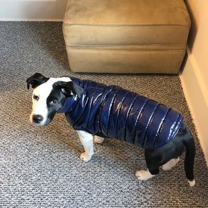 Dark Blue Waterproof Dog Jacket